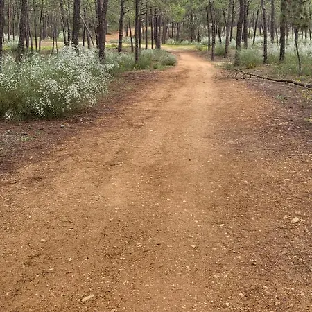 게스트하우스 Ufitness Algarve 빌라레알데산토안토니오